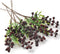 HUIANER Artificial Berries, 6Pcs Lifelike Dark Red Berry with Stems Fake Christmas