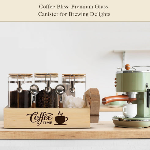 Set 3 Glass Coffee Canister with Shelf & Spoons - Piece Airtight Seal Coffee Bean Storage Containers & Filter Holder