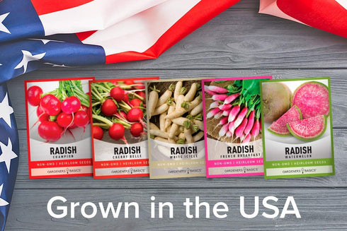 5 Packets Gardeners Basics, Radish Seeds for Planting Individual - Watermelon, French Breakfast, Champion, Cherry