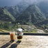 Vietnamese Coffee Filter Maker Press - Screw Down Phin, Authentic Made in Vietnam, Medium (8 oz)