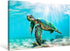 JAPO ART Green Sea Turtle Wall Decor - Tropical Canvas Wall Art Prints, Small Framed Pictures for Home