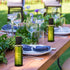 Reallnaive 4 oz Green,20 Mini Glass Olive Oil Bottles Empty Sauce Condiment Bottles with Dropper Inserts and Sticker