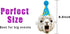 Llama Birthday Garland, Funny Alpaca Face Portrait Bunting for Hilarious Bday Party Decoration