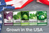 5 Packets Gardeners Basics, Cabbage Seeds for Planting Individual Bok Choy, Michihili (Napa) Chinese Cabbage, Red