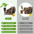 50 Pack, Grow Sponges Hydroponics Replacement Root Growth Sponges Compatible with Aero Garden iDOO and Most Other