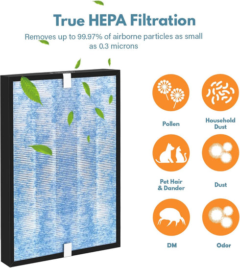 MSA3 True HEPA Filter Replacement for MSA3/MSA3S Membrane Solutions 3-in-1 Air Cleaner, 2 Pack