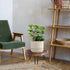 Plant Stand Indoor Outdoor, Mid Century Style Walnut Wood Color Plant Stand,Waterproof Design Modern Plant Table,Easily