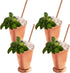 Sol Living Mint Julep Cups Set of 4, 12 oz Stainless Steel Lining Copper Cups for Cocktails and Mixed Drinks Barware Set