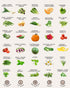 50 35,000 Tactiko Survival Vegetable, Herb & Fruit Seed Kit - U.S.A. Harvested Varieties - Over Non-GMO Heirloom Seeds