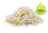 5 Todd's Seeds Sprouting Seeds Mung Bean, Chinese Bean Sprouts, Pounds