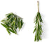 Chef'n Zipstrip Herb Stripper, Arugula/Avocado