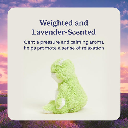warmies Microwavable & Weighted Stuffed Animals, Frog - Heated Stuffed Animal Plushie for Warmth & Comfort - Cute Soft