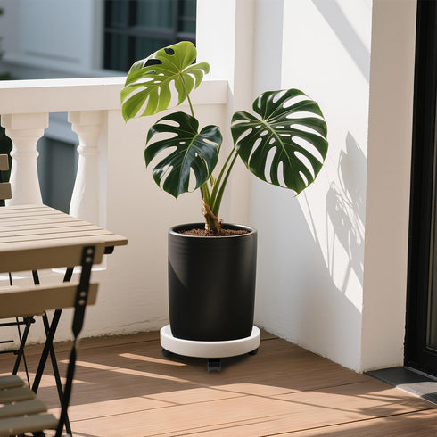 2Pack 12.4'' Plant Caddy with Wheels, Plant Stand Dolly for Heavy Planter,Wheeled Planter Saucer Tray,Rolling plant