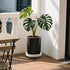 2Pack 12.4'' Plant Caddy with Wheels, Plant Stand Dolly for Heavy Planter,Wheeled Planter Saucer Tray,Rolling plant