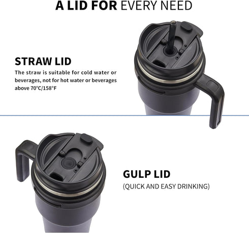 ALOUFEA 20 oz Insulated Coffee Mug Tumbler with Handle, Stainless Steel Travel Mug Tumbler with Lid and Straw,Double