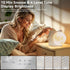 Light,10 Effects,30/60/90 Timer,10 Sounds,15 Ringtones,12 Snooze Sunrise Alarm Clocks for Heavy Sleepers,Night Lamp