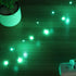2 Pack 33ft 100 USB Plug-in Fairy Lights, Mini LED String Lights with Black Green Wire for Bedroom Wedding St.