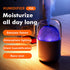Portable Mini Humidifier, 300ml Small Cool Mist Humidifier, USB Personal Desktop Humidifier for Baby Bedroom Travel Office Home, Auto Shut-Off, 2 Mist Modes, Super Quiet by DIKTOYOU