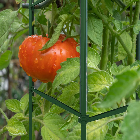 Caonysh 36PCS 11.8" 11mm Plant Stake Arms for Tomato CageExpandable Plant Supports Trellis Connector Clips for Garden