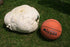 CEMEHA SEEDS Giant Puffball Mushrooms Non GMO for Planting Mycelium Spawn Spores