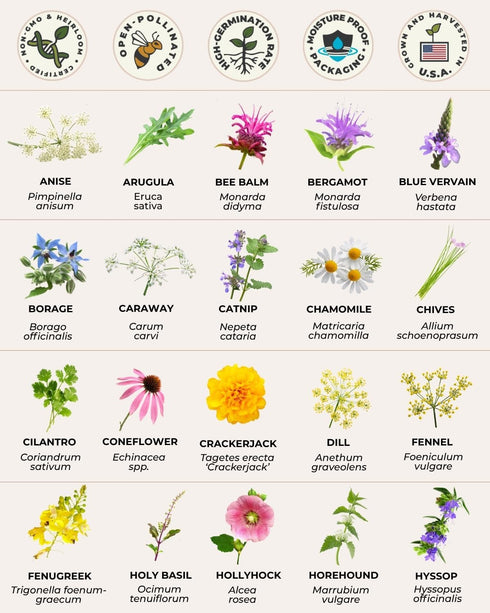 40 Pack, Tactiko Survival Medicinal & Tea Herb Seeds Variety Indoor & Outdoor Herbal Garden Kit, USA Grown Heirloom