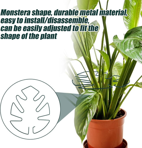 BOXOB 2pcs Monstera Leaf Plant Support, Metal Climbing Plant Stem Supports Monstera Shaped Plant Stand Ring Houseplant