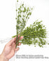 17 inches 10 Pack Artificial Glitter Berry Stem Ornaments, Fake Christmas Picks Decorative Glitter Bead Sticks