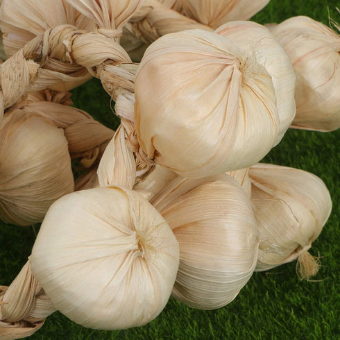 2Pcs BESPORTBLE Fake Garlic Hanging String Vegetable Photography Props Lifelike White Garlic for Home Office Decor