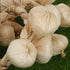 2Pcs BESPORTBLE Fake Garlic Hanging String Vegetable Photography Props Lifelike White Garlic for Home Office Decor