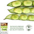 25 Aquadulce Fava Bean Seeds (Vicia faba) Non-GMO Heirloom Seeds by Islas Garden Seeds, Cold-Hardy Broad Bean for Fall