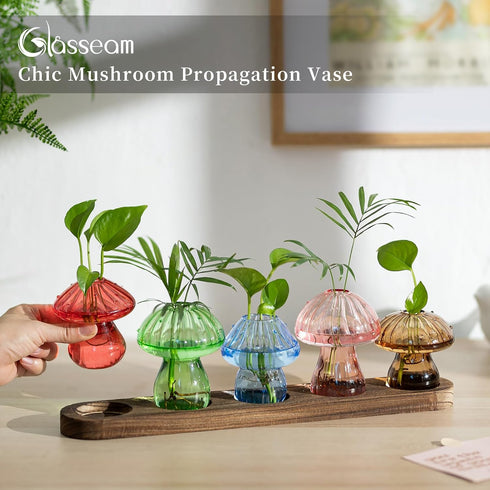 5 Glasseam Mushroom Plant Propagation Stations: Glass Terrarium Jars with Wood Stand - Unique Hydroponic Planters
