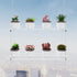 OtNiap 2-Tier 16inch,Indoor Clear Hanging Window Plant Shelves Windows Wall Hanging Plant Stand Flower Display,Flower