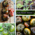 (1) Sow Right Seeds - Black Krim Tomato Seeds for Planting - Medium Dark Maroon Beefsteak - Non-GMO Heirloom Tomato