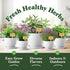 10 Pack: (10 Pack) Seedboy Organic Non GMO Herb Variety Basil, Cilantro, Mint, Oregano, Parsley, Thyme, Chives, Dill