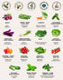 15 Tactiko Survival Vegetable Seed Kit Varieties for Small Urban Garden, Balconies & Patios - Non-GMO, Heirloom