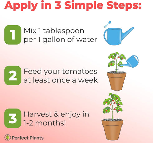 8oz. Perfect Plants Tomato Plant Fertilizer in Bottle | Help Your Vegetable Garden Thrive | Rich in Essential nutrients