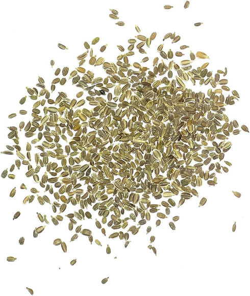 (5 Packs) Seed Needs Carrot Seeds for Planting Tendersweet Carrots - Non-GMO Heirloom & Untreated Vegetable Seed