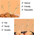 300PCS 4 Inch Bamboo Cocktail Picks, Knot Picks, Skewers, Toothpicks for Appetizers & Events