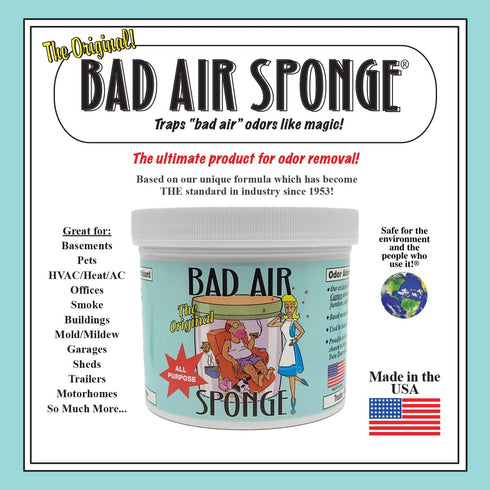 2lb. (3002N), Bad Air Sponge Container Blue