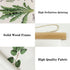 XIAOAIKA Aromatic Herbs Poster Wall Art Prints HD Vibrant Colorful Rustic Style of Herbs Wall Hanging Illustrative
