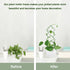 16inch 4 Pack Wellsign Indoor Plant Trellis for Climbing Plants, Small Garden Metal Trellis for Potted Plants Outdoor