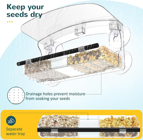 Window Bird Feeder with Strong Suction Cups for Viewing Outdoors