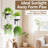 2Pcs 2 LASZOLA Plant Hangers Shelves Wall Mounted Indoor, Metal Window Plant Holders, Modern Floating Flower Display