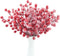Feitore 30 Pack Snow Frosted Red Berry Stems 8.9" Holly Frosted Berry Picks