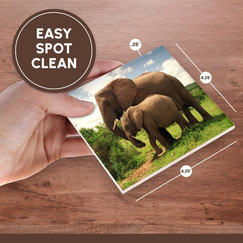3dRose CST_44876_3 Mama N Baby Elephants in Wild, Ceramic Tile Coasters, Set of 4