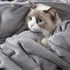 Hansleep Fleece Throw Blanket, Super Soft Flannel Fuzzy Grey, Plush Cozy Blanket for All Seasons, 50x60 Inches