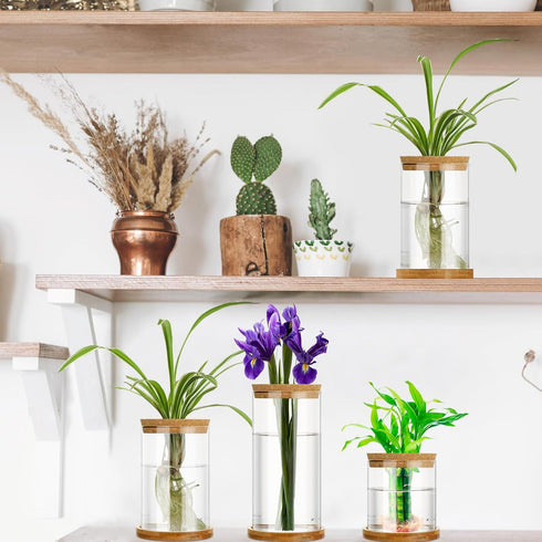3 3 Office(Common Maxcheck Pcs Sizes Plant Propagation Station Separated Glass Plant Terrarium Water Hydroponic Planter