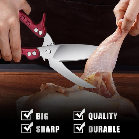 DRAGON RIOT Heavy Duty Poultry Shears - A Must Have Kitchen Shears for Chicken and Meat Cutting - Dishwasher Safe