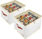 Patinao 2 Pack Shoe Storage Box Organizer for Closet - 24 Cell