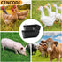 CENCODE 5 3pack Hanging Chicken Feeder Trough and Goat Feeder, Sheep Deer Poultry Dogs Deers Gooses Duck Fence, Quart
